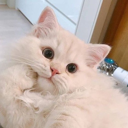 ☁️
#강다니엘 #KANGDANIEL