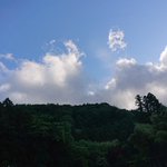 ツイートに含まれる画像