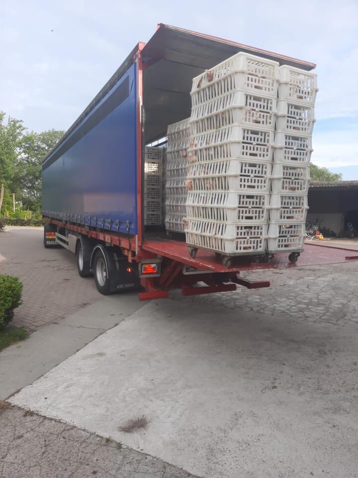 🥳De Gelderse Vallei wordt weer bevolkt met kippen 🐔🐔