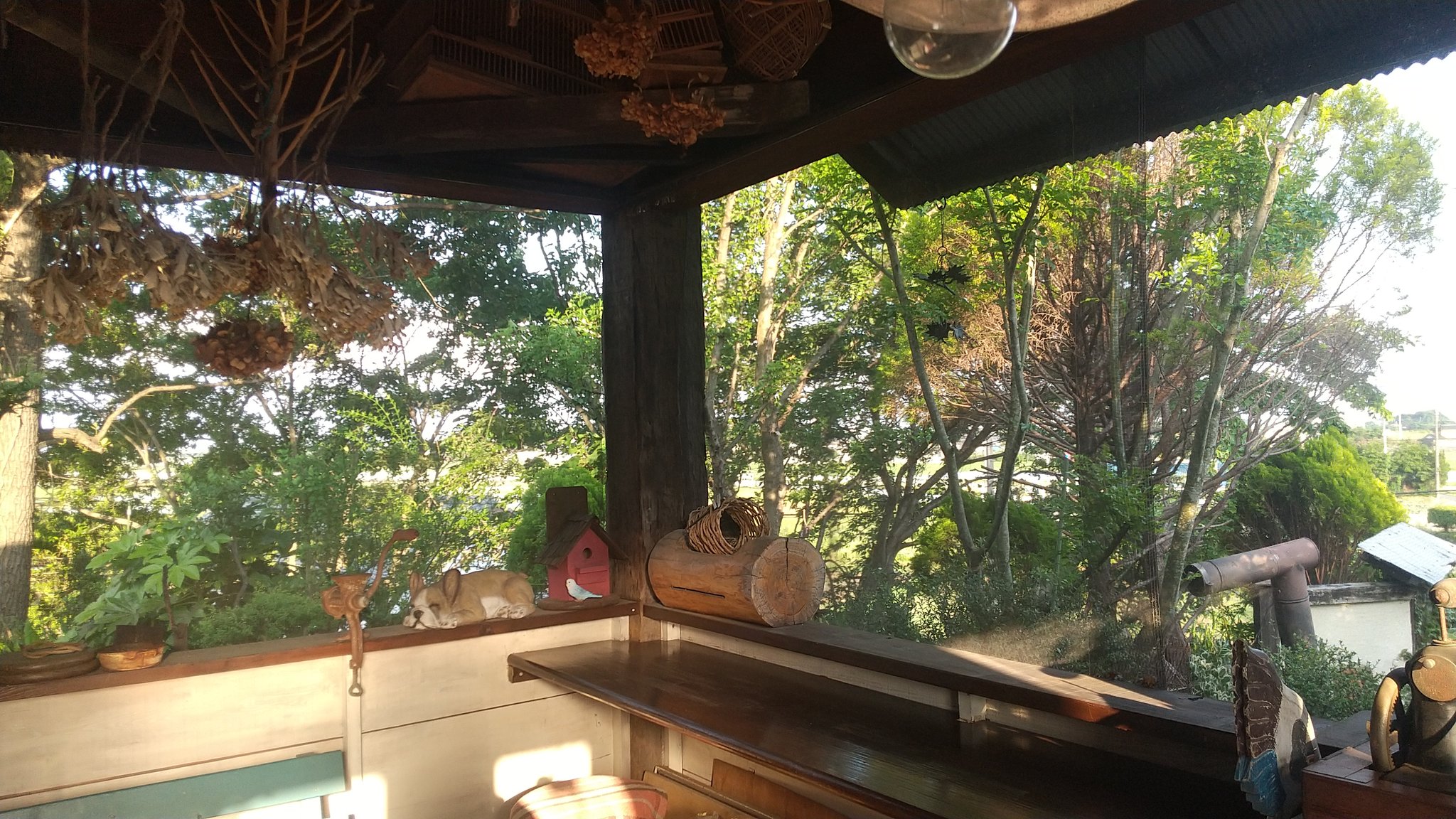 庭とカフェあんず 風がさわさわと 心地よく吹いています 今週もありがとうございました 東松山カフェ 高坂カフェ 埼玉カフェ ガーデンカフェ こども動物自然公園 鎌倉殿の13人 手作りケーキ シフォンケーキ レトロ喫茶 クリームソーダ 庭とカフェあんず 風がさわさわと 心地よく吹いています 今週もありがとうございました 東松山カフェ 高坂カフェ 埼玉カフェ ガーデンカフェ こども動物自然公園 鎌倉殿の13人 手作りケーキ シフォンケーキ レトロ喫茶 クリームソーダ