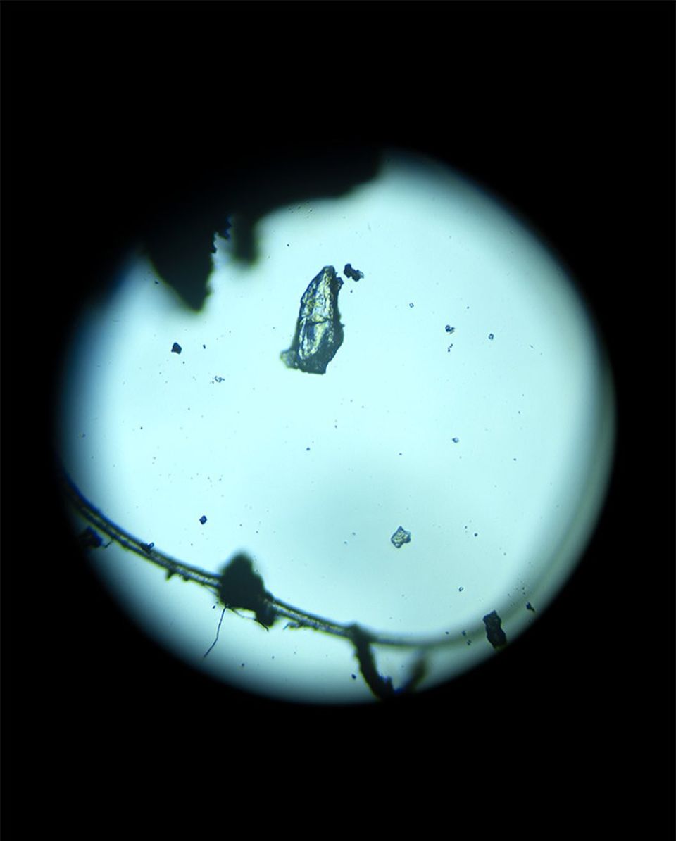 MAP6Collective's tweet image. BA Documentary Photography @docphotusw here from University of South Wales, sharing some of our final year students work which will be displayed in our graduation show, the ‘Packed Lunch’ exhibition @packed_lunch_exhibition.