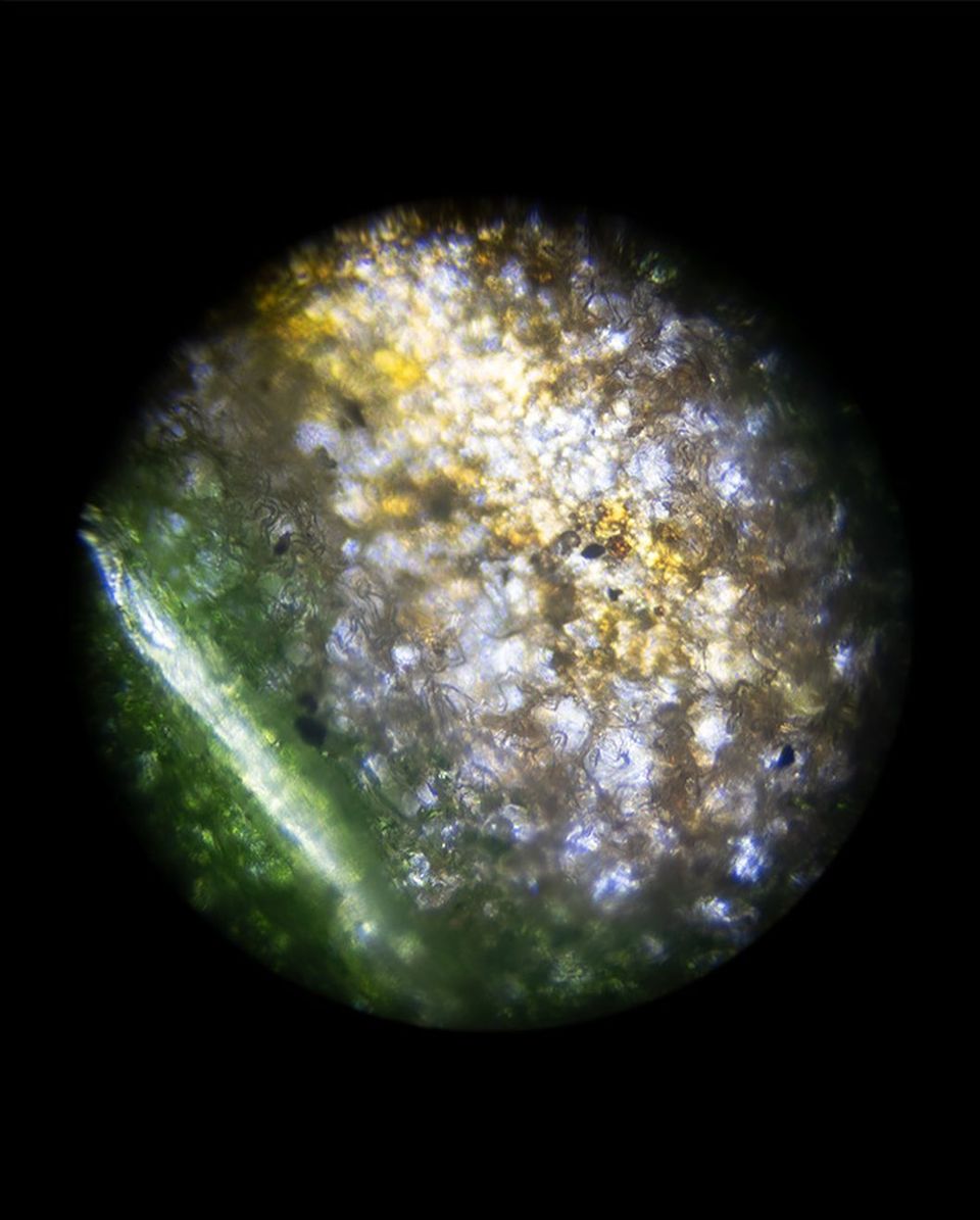 MAP6Collective's tweet image. BA Documentary Photography @docphotusw here from University of South Wales, sharing some of our final year students work which will be displayed in our graduation show, the ‘Packed Lunch’ exhibition @packed_lunch_exhibition.