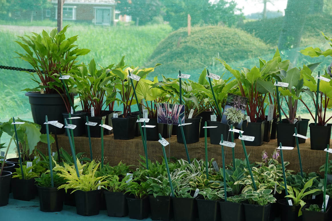 FINAL ATTRACTION: zaterdag 4, zondag 5 en maandag 6 juni. Het laatste themaweekend van Kwekerij De Kleine Plantage, met o.m. Het Blauwe Huis, Brian Kabbes, Arthur Vermij, Jannes van Rossum en veel anderen. dekleineplantage.nl