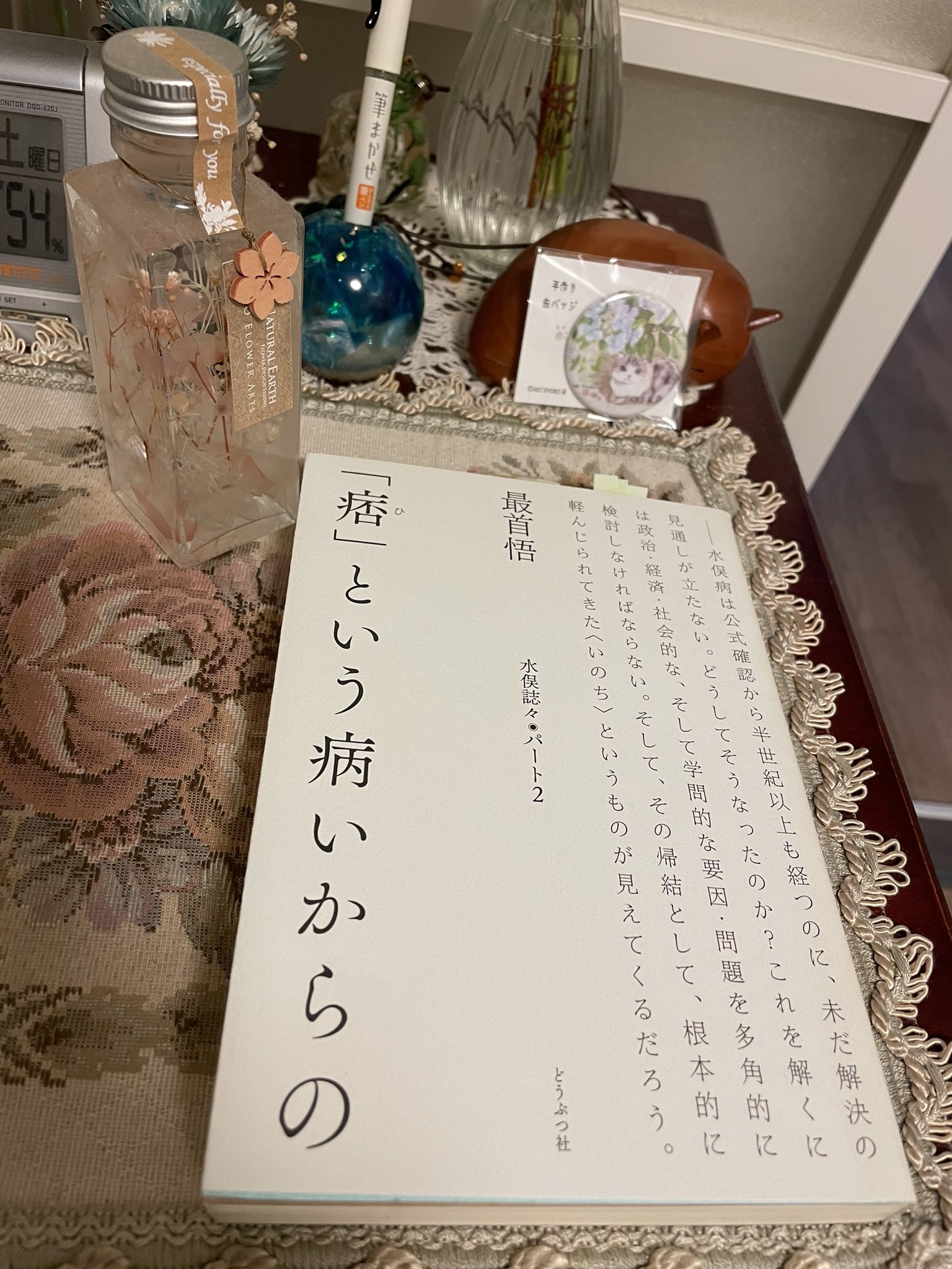 あきにゃん様専用ページ➁ melodiapet.com.br