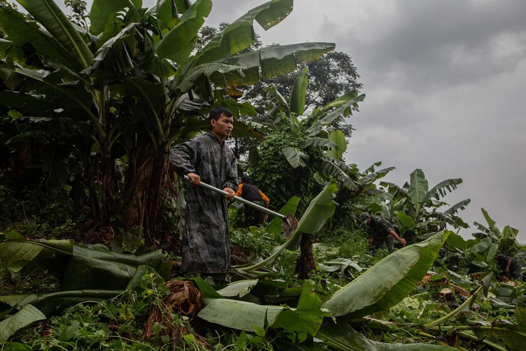 For World Environment Day at the KIO headquarters of Laiza, people planted more than 2000 trees and plants.  #2022Jun4Coup #AgainstCCP #MilkTeaAlliance #WhatsHappeningInMyanmar