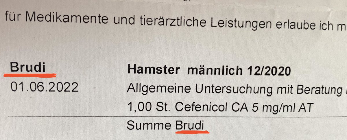 cuteANDniceeee's tweet photo. wenn ich das so sehe, wird mir nochmal bewusst was für ein süßer hamstername brudi ist https://t.co/F1DYUVafZ5