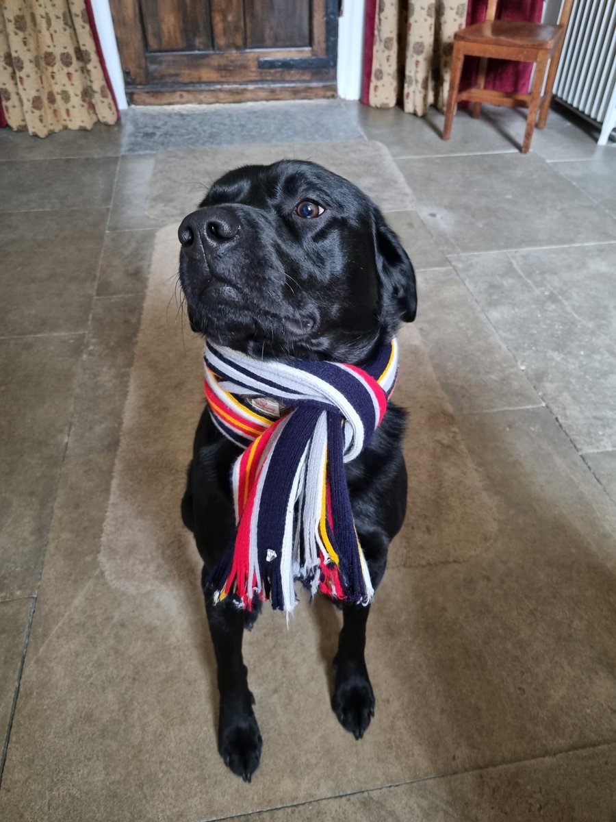 Matt Williams FRSA tweet media