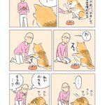 お手をする側とさせる側が逆転…？!愛犬のお話を描いた漫画が話題に!