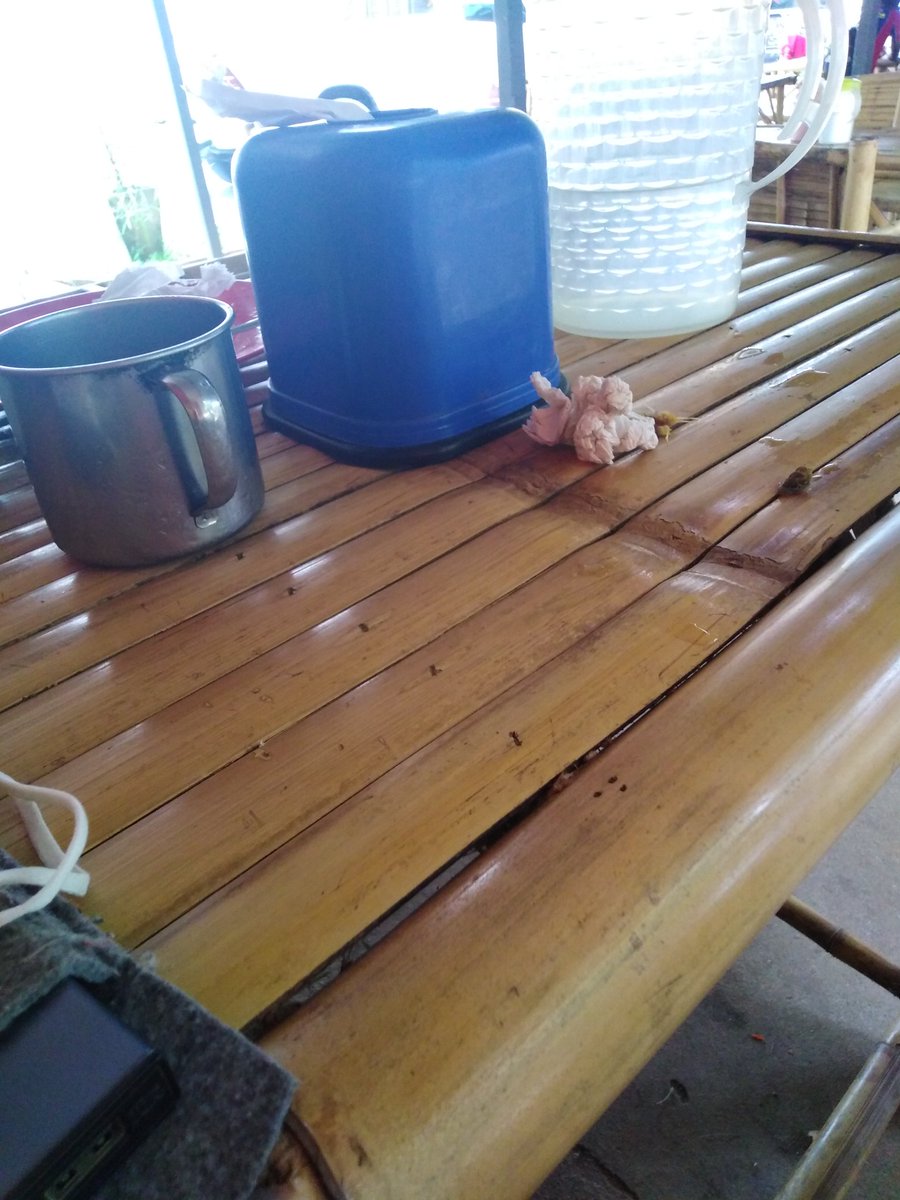 ตังหยงมัส..