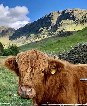 braithwaiteshop's tweet photo. Hello from this beauty. We are open all day everyday. The Jubilee has brought out a lot of pie eaters #braithwaite #keswick #cumbria #lakes #lakedistrict #jubilee #photography #campers #ldnp #cycling #fellrunners #parkrun https://t.co/yEAsk6EpGZ