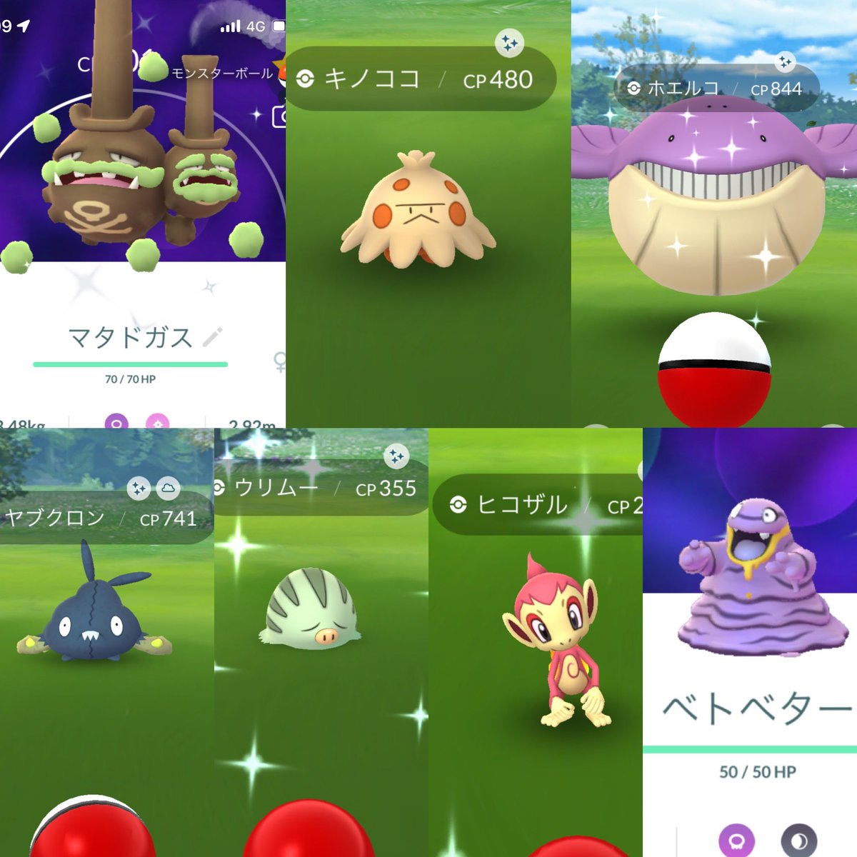 マダドガス Twitter Search Twitter