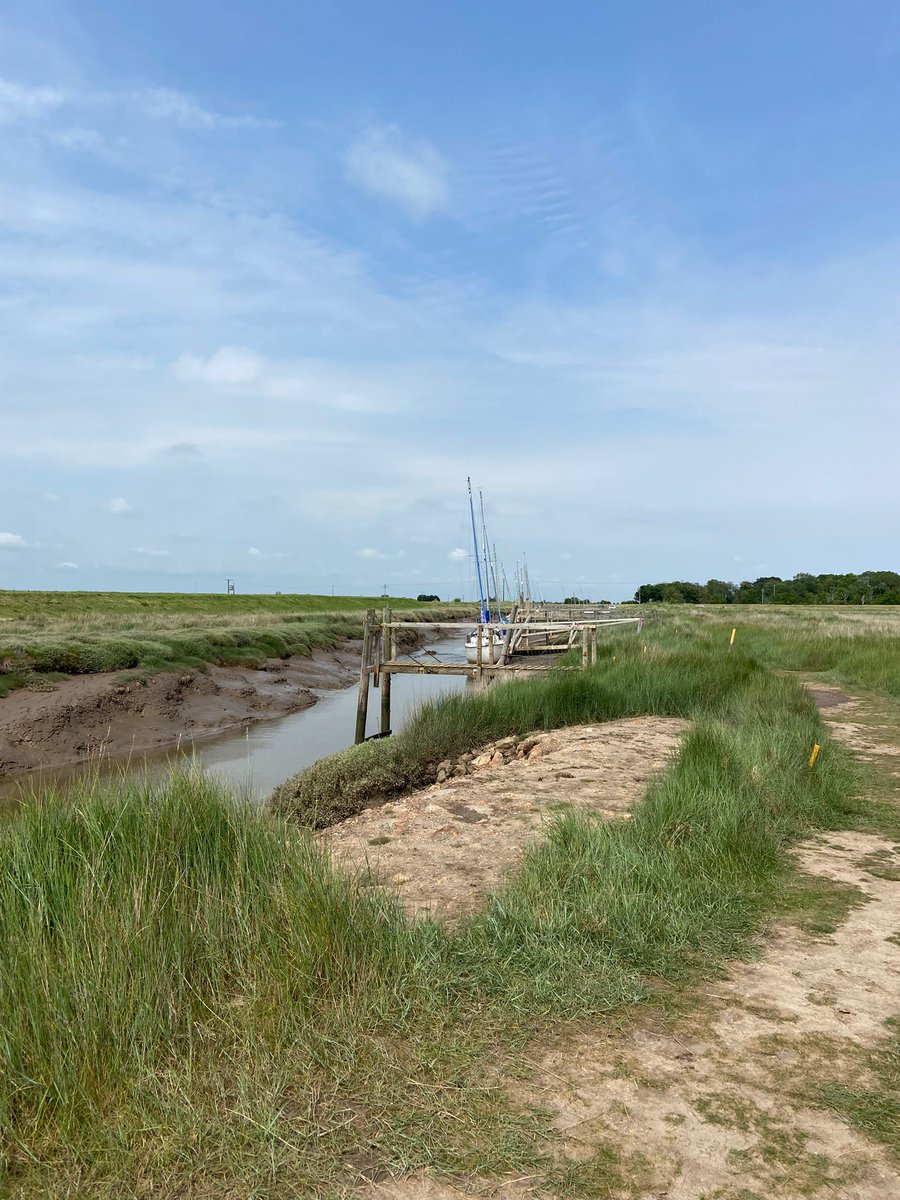 Rachel2073's tweet photo. A great day out with family exploring Gibraltar Point, Winthorpe Beach and then a moonlight walk back home. Thanks to Oscar at @LincsWildlife for the top tips and warm welcome at the visitor centre😊 #GreaterLincolnshire @visitlincoln #30DaysWild @VisitLincsCoast https://t.co/jaqffwai8T
