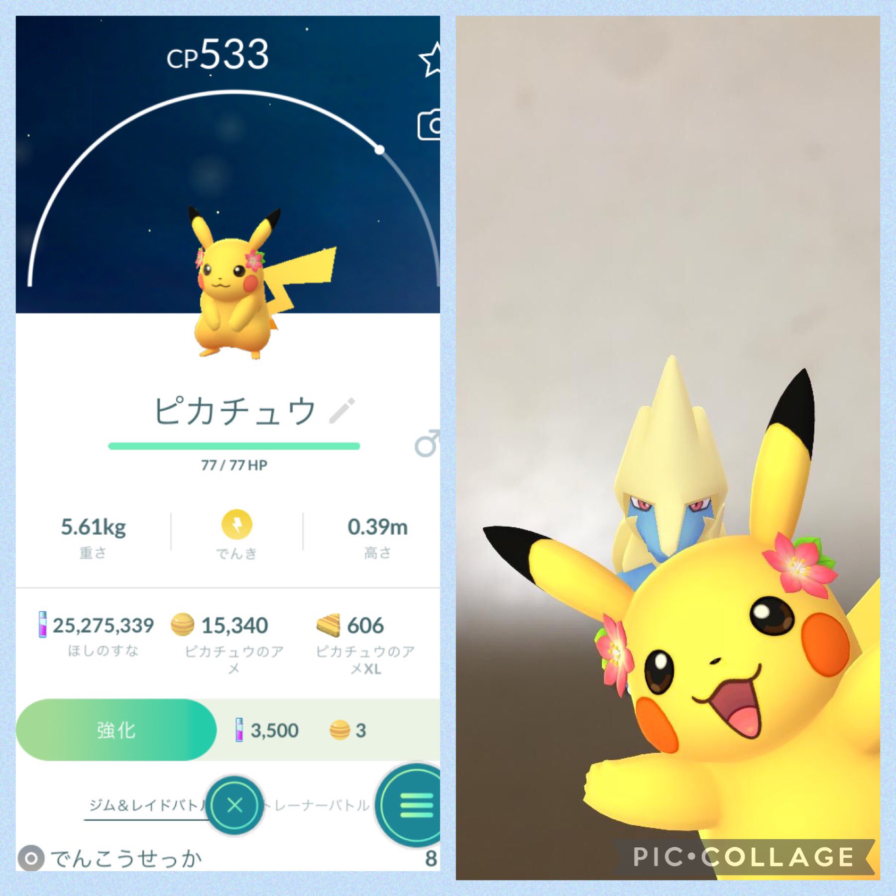 ねごん ポケモンgo Negon Official Twitter