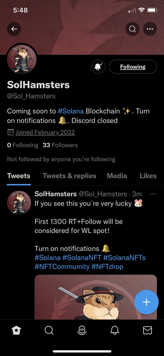 speedycocoki's tweet photo. @Sol_Hamsters LFG https://t.co/AG00dystjJ