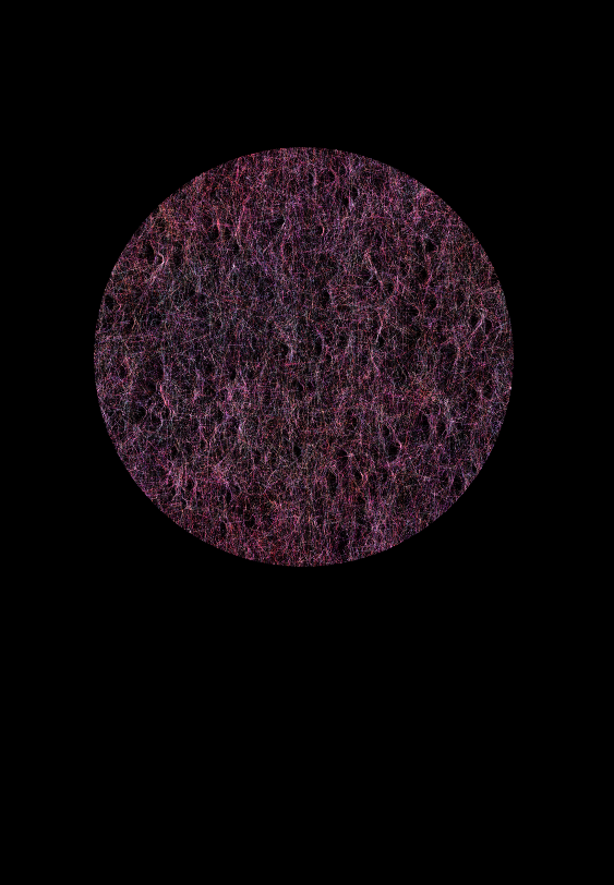 RonTheEthernet's tweet photo. Some #WIP on the weekend

#fxhash 
#generativeart https://t.co/vqzEP5B4bR