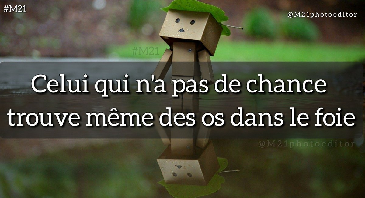 ⵎⴰⵙⵉⵏⵉⵙⴰ ⴰⵉⵜ ⴽⴰⵛⵉ ⴰⵍⵉ Massinissaaitk1 Twitter