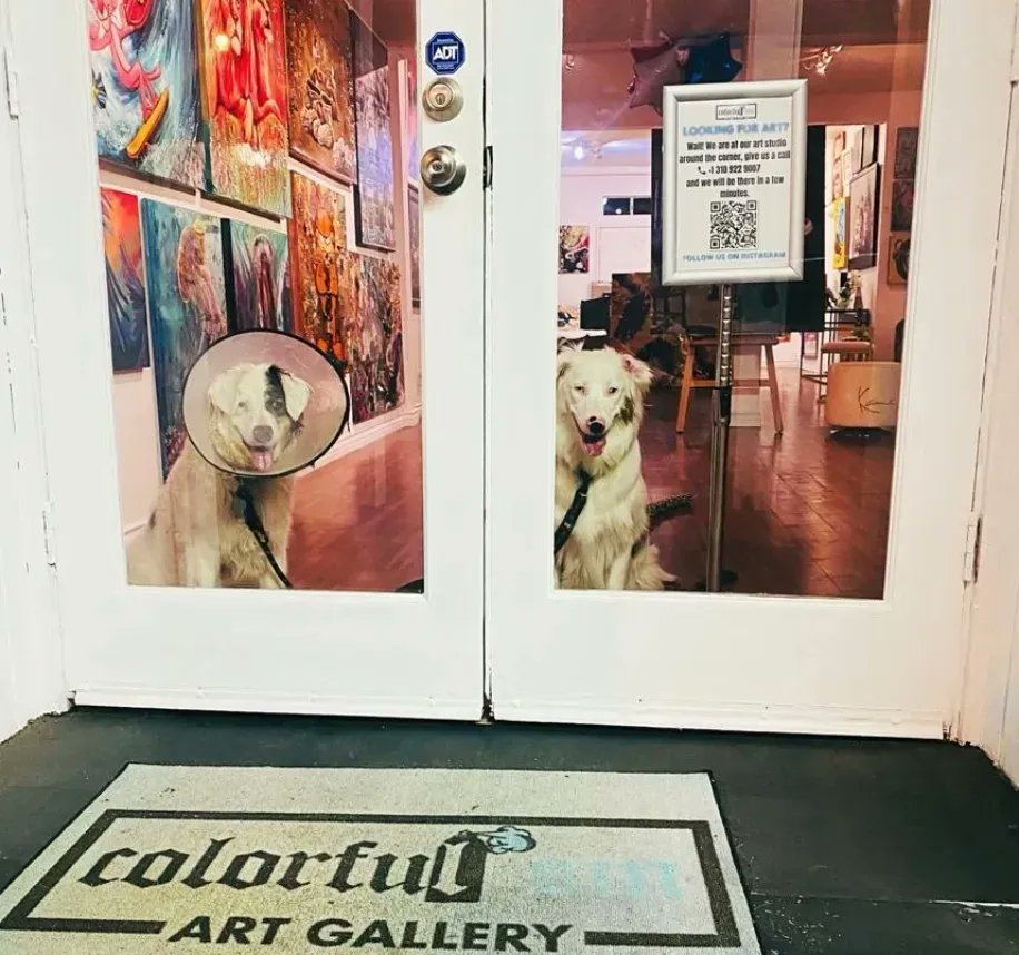 KarinBrauns's tweet photo. Kicking off the first weekend of June with great furry/ pawfect friends at the gallery

Come in visit @colorfulsinartgallery 
.
.
.
.
.
#artgallery #art #artist #gallery #pet #lovepet #sale #social #localartists #localart #popart #fineart #dog #life #business #june #laart #june https://t.co/krhf0vfV0Z
