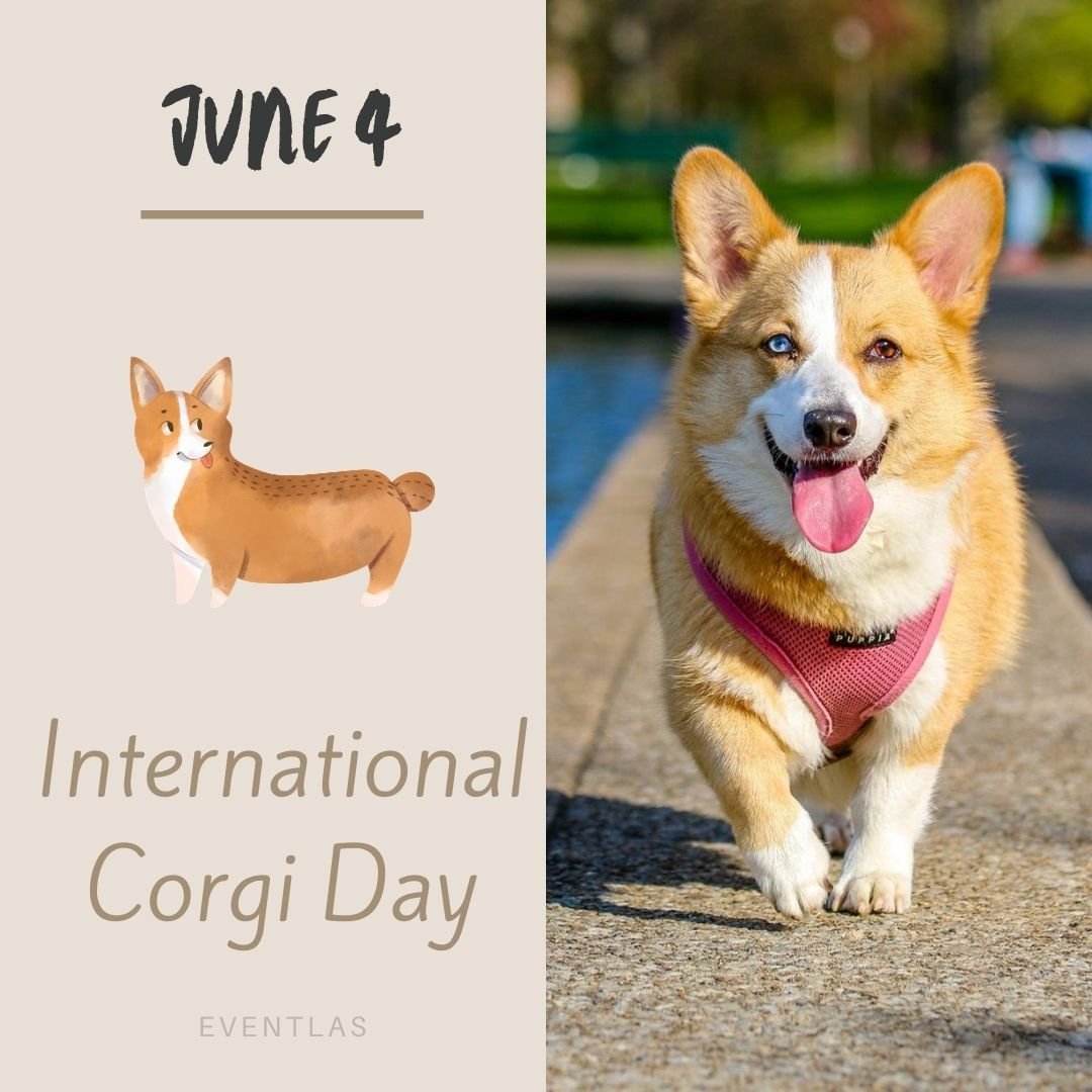 Happy International Corgi Day!!  Corgis share their day in America with Hug Your Cat Day - we hope you have a very blessed day. https://t.co/QNunlfKoP8