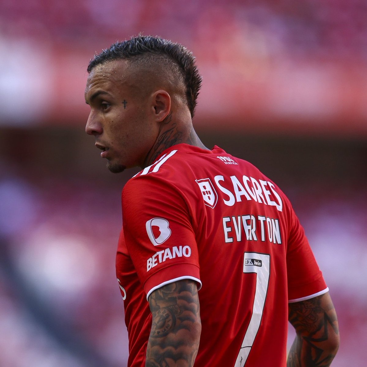 🚨 Everton Cebolinha 🇧🇷 no #Flamengo ?

O Flamengo fez uma proposta inferior aos 20M€ pretendidos pelo #Benfica e a mesma foi rejeitada.

Cebolinha também não tenciona voltar para o Brasil e quer continuar a jogar na Europa.