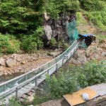 ツイートに含まれる画像