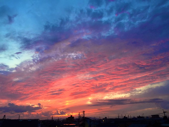 Bumpofchickeのtwitterイラスト検索結果 古い順