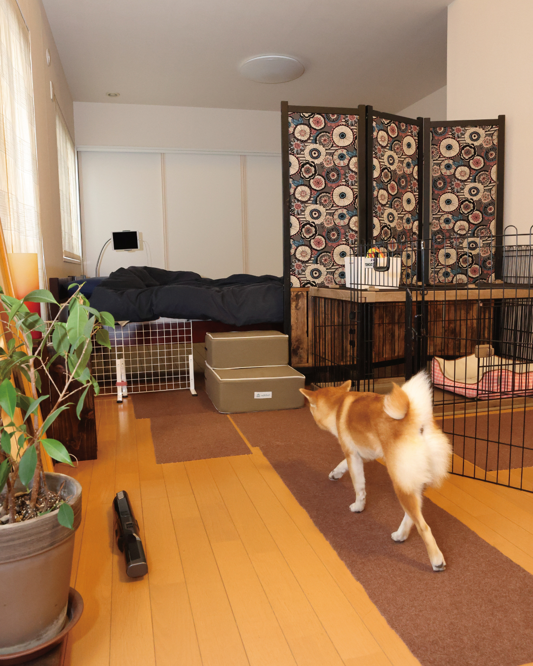 犬と一緒に寝る Twitter Search Twitter