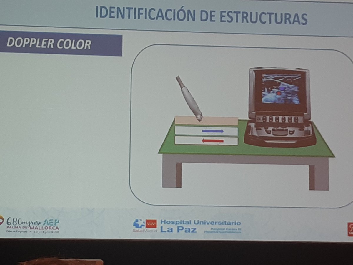 martabargos's tweet photo. Practicando Pediatría,@AEEP, @GRAVEped gracias a @moredae y @PatriLuna2017 por invitarme hoy al taller de acceso vascular ecoguiado. ¡ Muy TOP! https://t.co/fNJUZN6Hfc