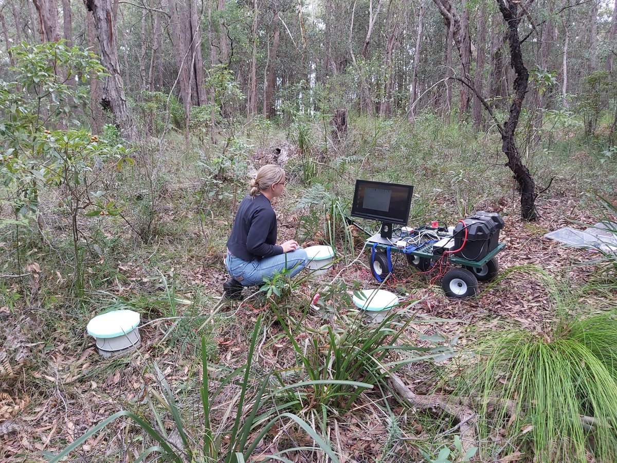 Jess is doing her Honours project with @WIGL_UOW (@Dr_IsoTony), @HazardsResearch (@katharinehaynes) and Ulladulla @nswalc to study the effects of #culturalburning on soil health. Here she is seen measuring carbon dioxide emission from the soil before cultural burning @uowresearch