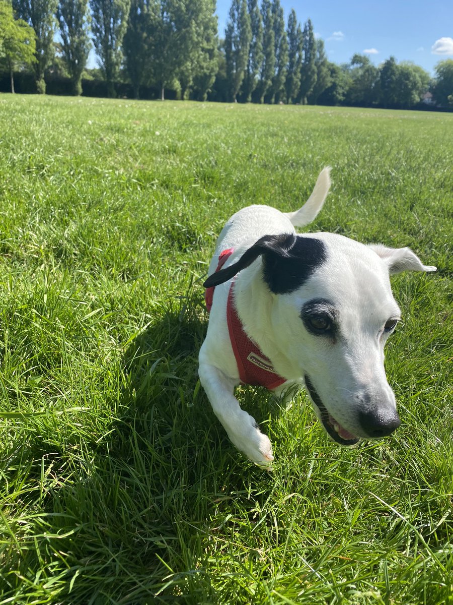 SThejackrussel's tweet photo. This Jubilee bank holiday got me feeling happyyyyy 🇬🇧🤩 https://t.co/OdwVeSXy4I