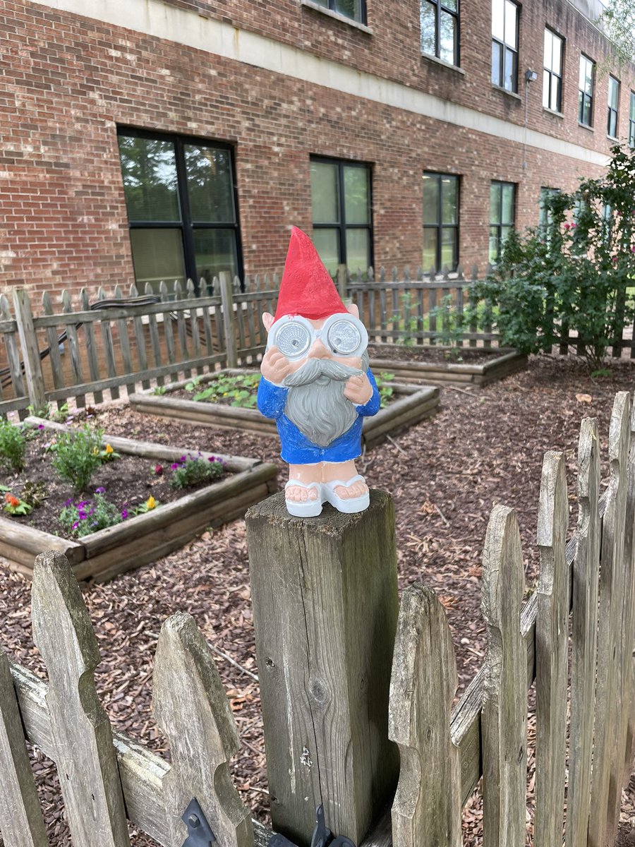 MsJSmith3's tweet photo. Meet Ron! He is our Sanderson Garden Gnome! Painted and placed in the garden by my students! https://t.co/U5LME3B6z9