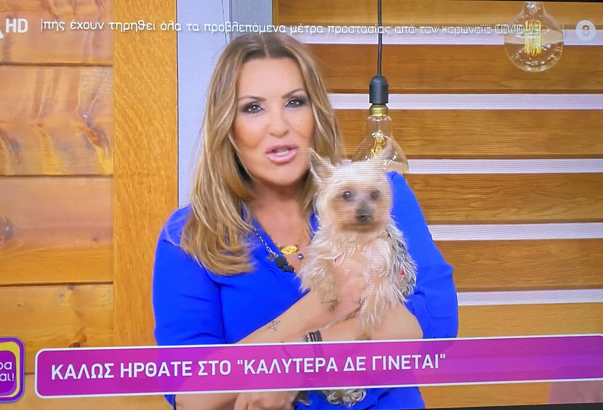Tin_vlr's tweet photo. Ναταλία, σήμερα σου έκλεψε τη λάμψη ο Μίκυ ♥️♥️🐾🐶   #kalytera https://t.co/FafSGRRz2a
