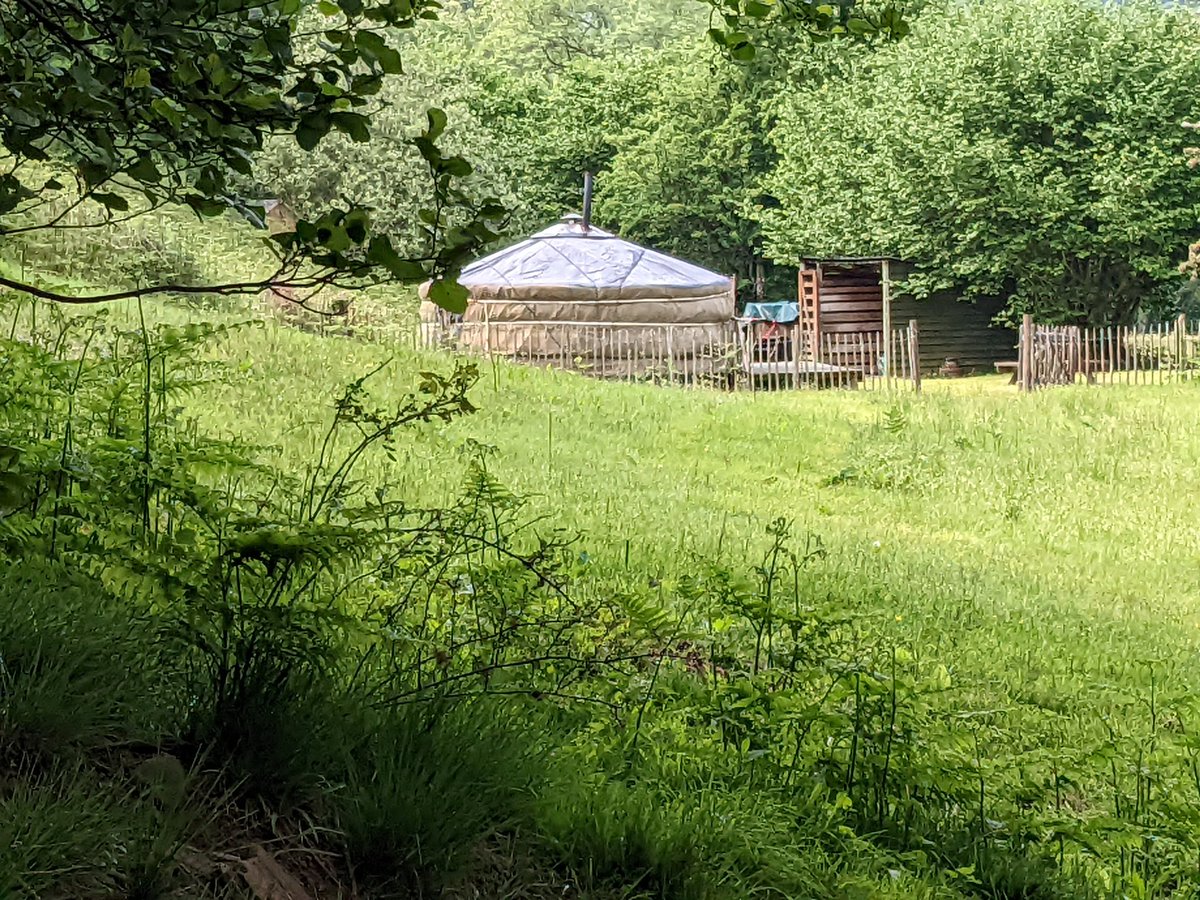 devabees's tweet image. 