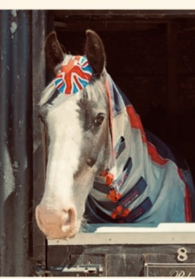 <a href="/KensingtonRoyal/">The Prince and Princess of Wales</a> <a href="/KensingtonRoyal/">The Prince and Princess of Wales</a> my horse Blue joining in our #platiniumjubilee celebrations at our yard on Thursday in a very sunny Poxwell, Dorset xx