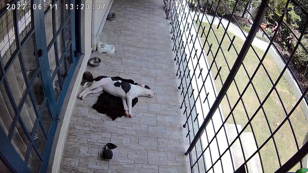 Best thing I’ve paid for in awhile.