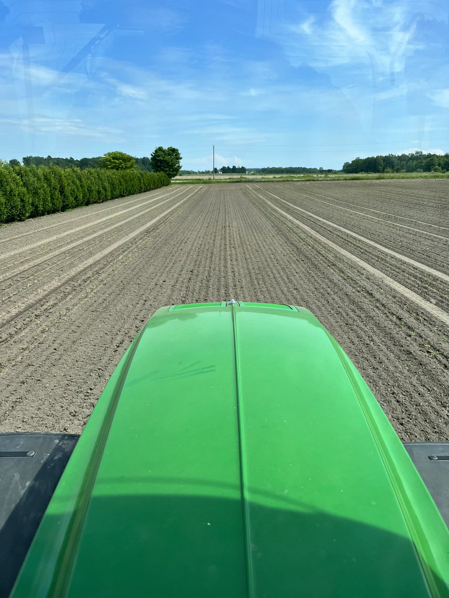 TooDeere's tweet photo. That’s a wrap on tomato plants 22 it can rain now no just kidding just kidding https://t.co/v00GgpYjdL