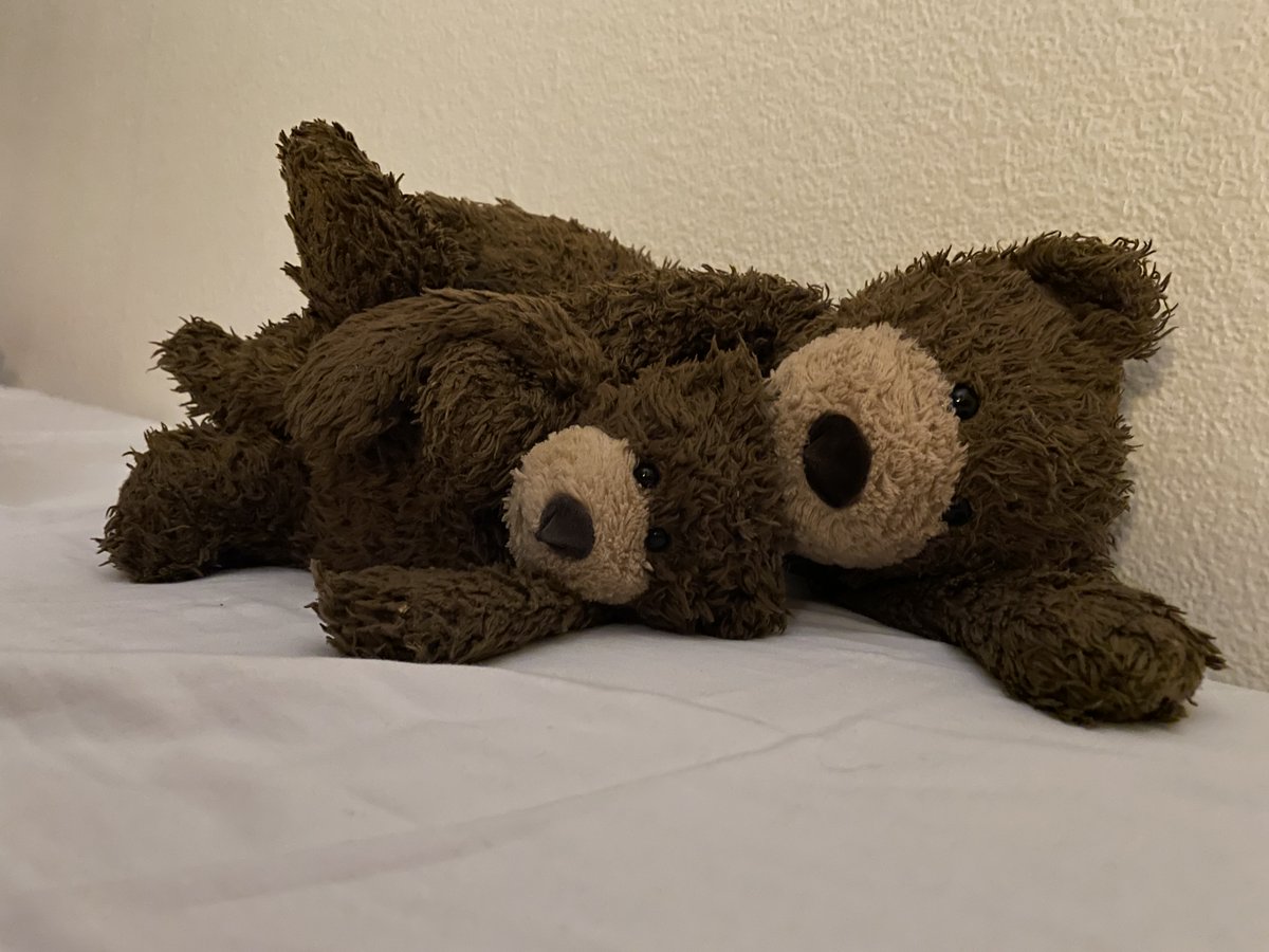 Deano_bear's tweet photo. Night night alls 'n everybody :-) https://t.co/3sRIbaca58