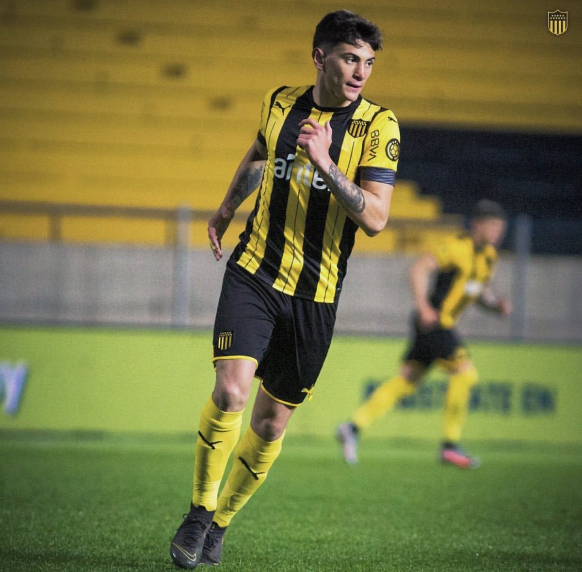WilsonMendez86's tweet photo. Sergio “Toto” Núñez volverá al primer equipo de @OficialCAP, el centrodelantero aurinegro es el goleador de Tercera División que dirige Juan Manuel Olivera. Fuerza Toto, aprender de los errores y a meterle https://t.co/f748scMSzp