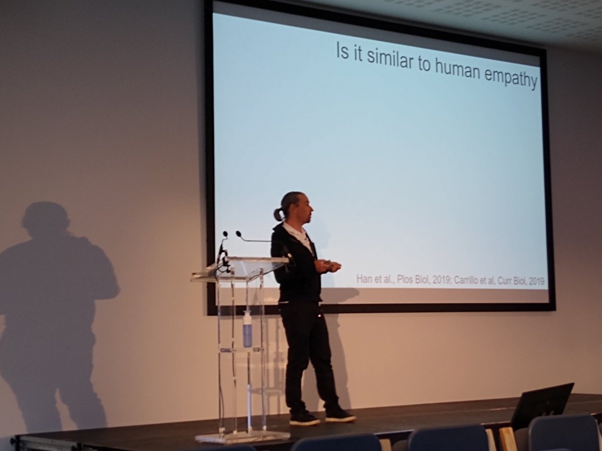 Gregory Carr (@gregcarrneuro) on Twitter photo Dr. Christian Keysers from the <a href="/sbl_nin/">Social Brain Lab</a> closing out the #IBNS2022 scientific program with his keynote on empathy across species. Rats share emotions! Dr. Christian Keysers from the <a href="/sbl_nin/">Social Brain Lab</a> closing out the #IBNS2022 scientific program with his keynote on empathy across species. Rats share emotions!