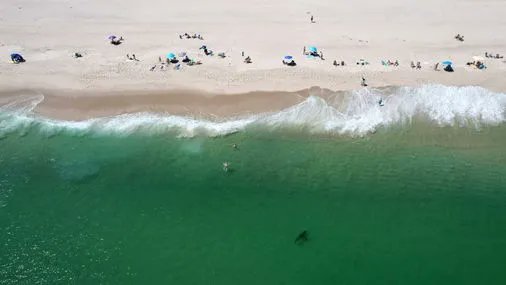 Globe Magazine tweet media