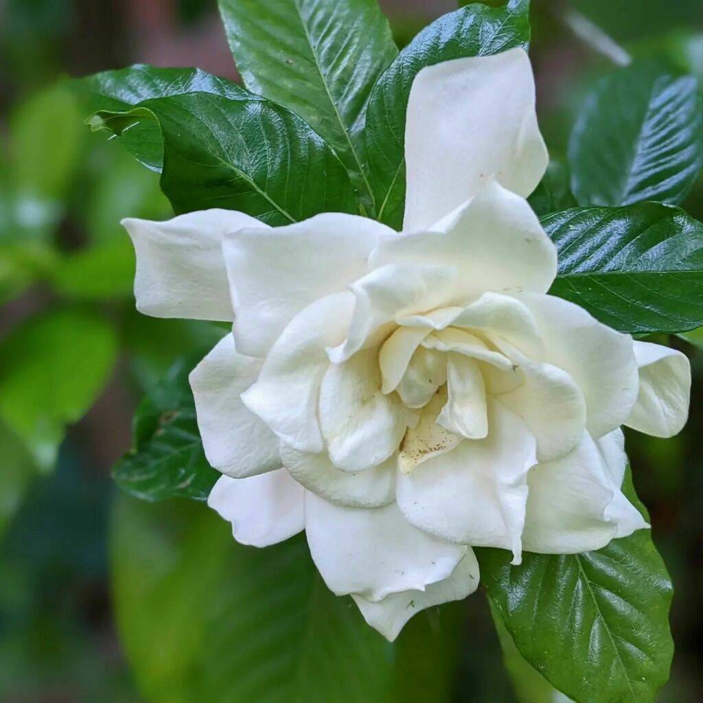 instagr.am/p/Ceq9BSeLQMZ/