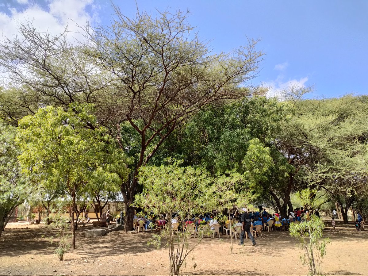 Ict011's tweet photo. We can comfortably do our meetings under trees,Participants number is not limited and can be the tree shade size 🌱🌳. We aim at having school parents day done this manner.
Below is Alakara Children's Home in Ngaremara ward, doing their Home day meeting under trees.Simplicity! https://t.co/nxSJAJxL2V