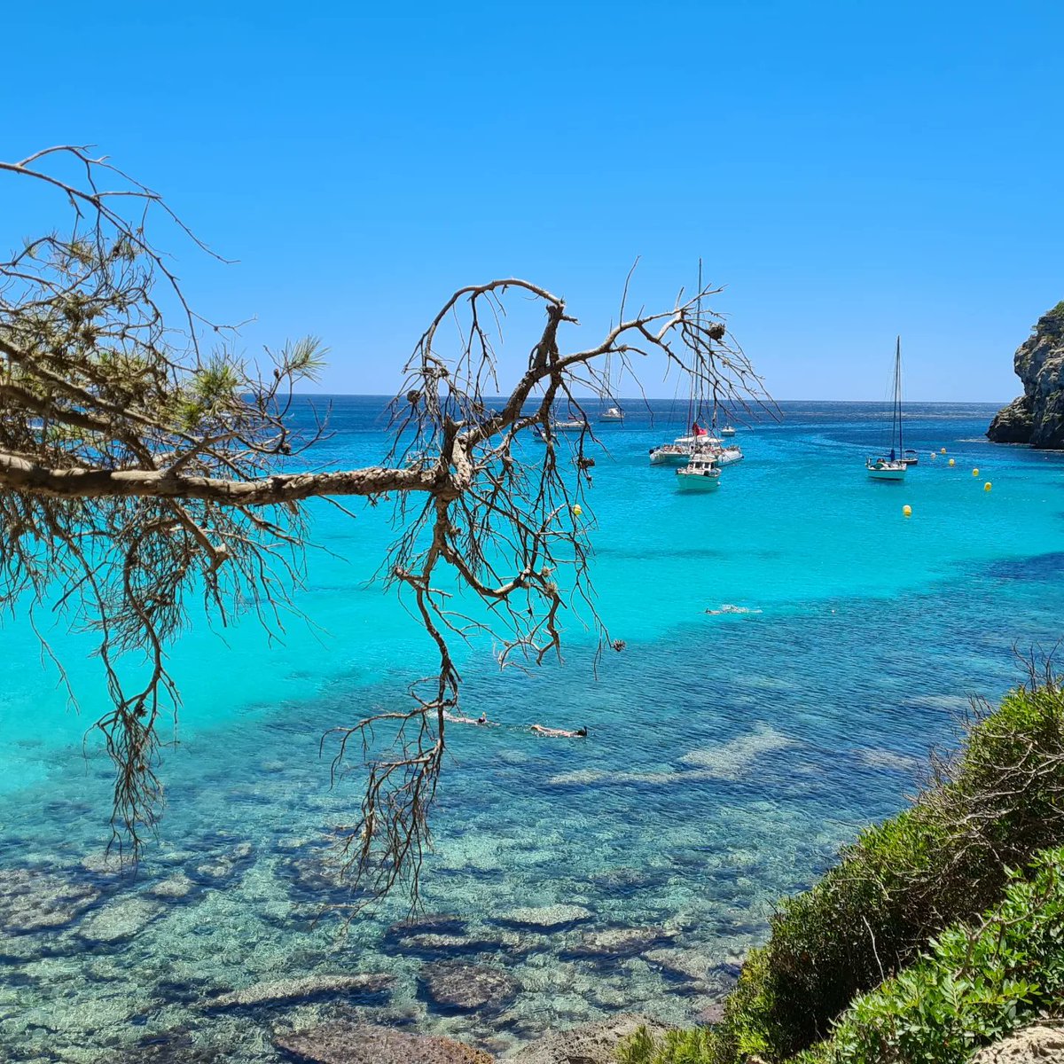 The_Real_Dr_Han's tweet photo. If being with you is like being in paradise, then what's being with you in a place like this? This...this is heaven.
#Menorca #menorcaparadise #Menorqueando #instatravel #beach #nofilter #SeaLife #photography #instaphotography #summer https://t.co/3iA4pzhBcr