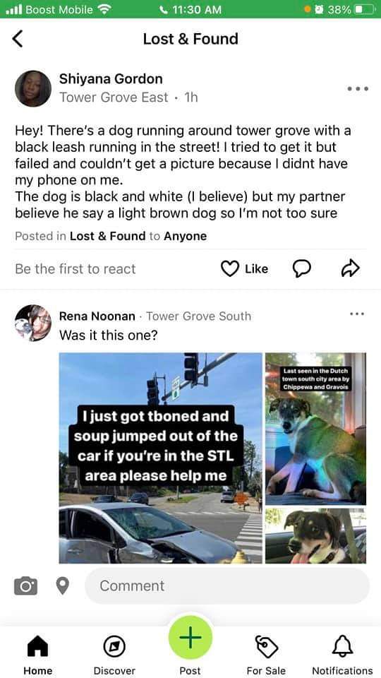 kcanaga's tweet photo. @clairewenze @itslittletunny This comment came in on nextdoor! Not sure if this helps your search but tower grove east was the sighting in case this was soup https://t.co/lrGVb4qW09