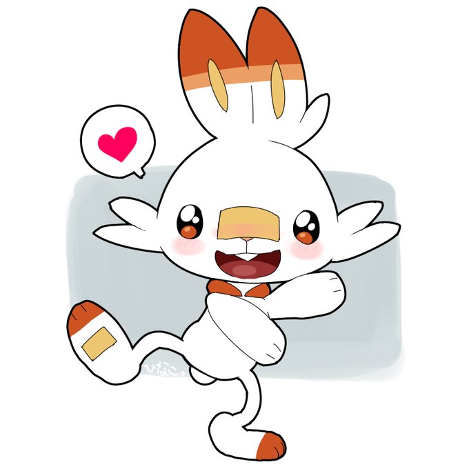 「scorbunny brown eyes」Fan Art(Latest)