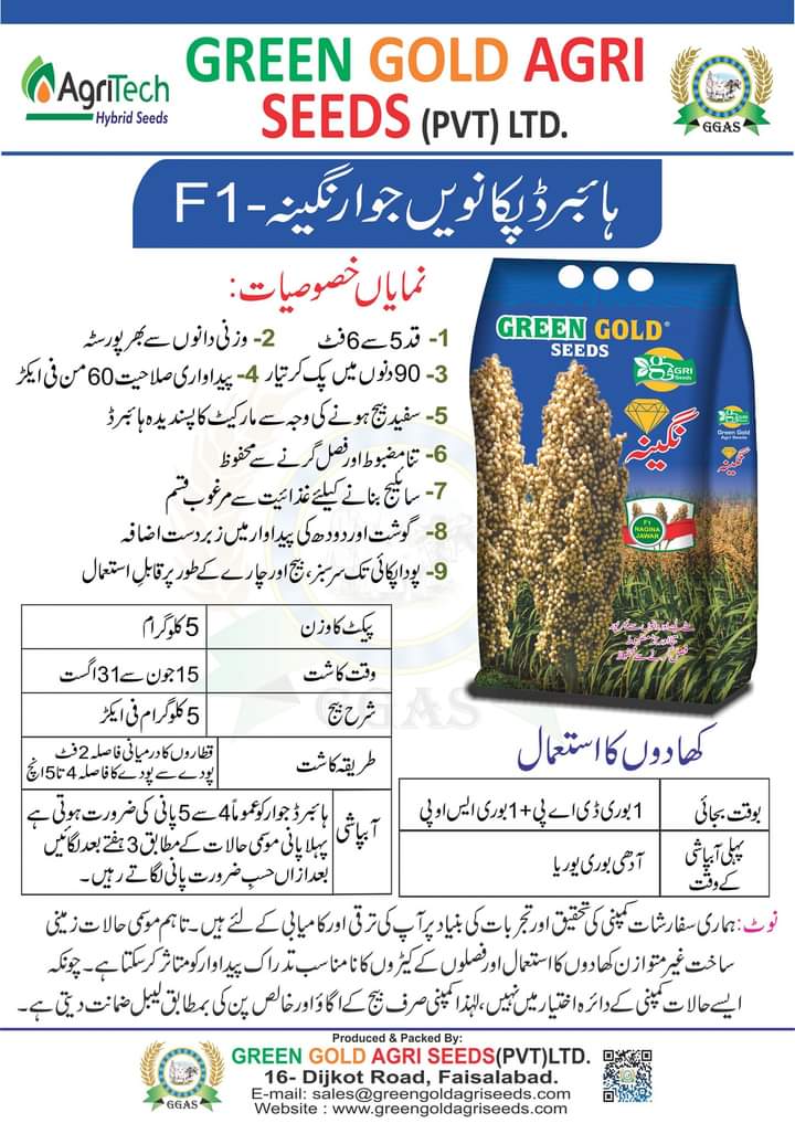 Green Gold Agri Seed PVT Ltd. on Twitter "https//t.co/75JZ7ivYzY