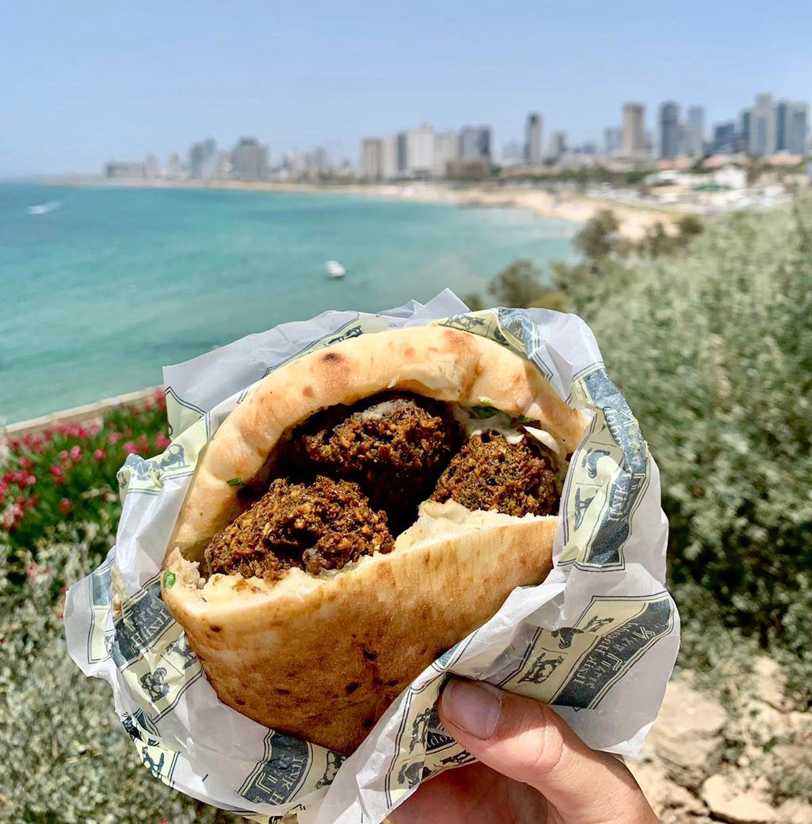 franceenisrael's tweet photo. Aujourd’hui nous célébrons la journée internationale du falafel ! Happy #FalafelDay 🧆😋 https://t.co/3Lr90BzVEn