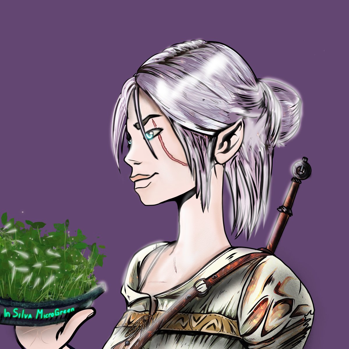 I think <a href="/InSilvaOfficial/">Insilva</a>  has its own witcher