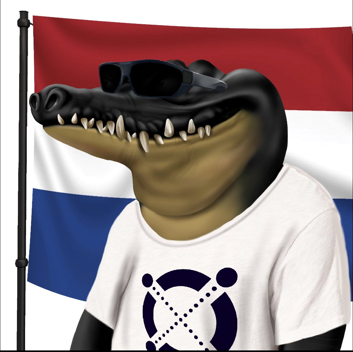 tomturtle tweet media