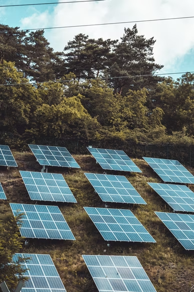 Opal Energy Group LLC tweet media