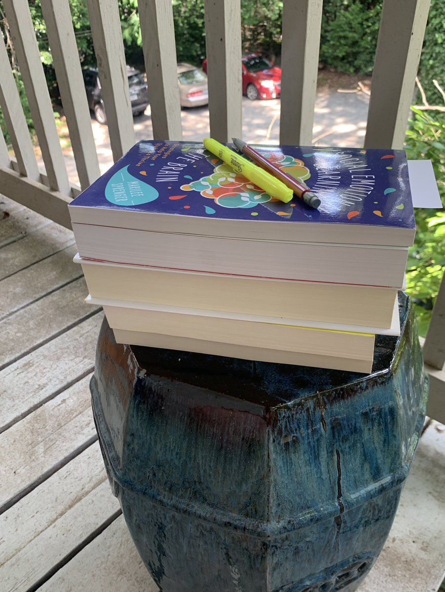 A little light #summerreading on this beautiful day! ☀️ 🌈 #trinityreads #trinitylearns #SEL <a href="/trinityatl/">Trinity School</a> <a href="/MarileeSprenger/">Marilee Sprenger</a>